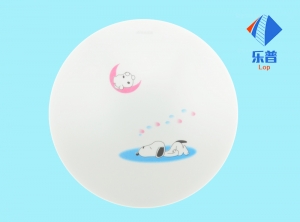 亞克（kè）力吸頂（dǐng）燈罩